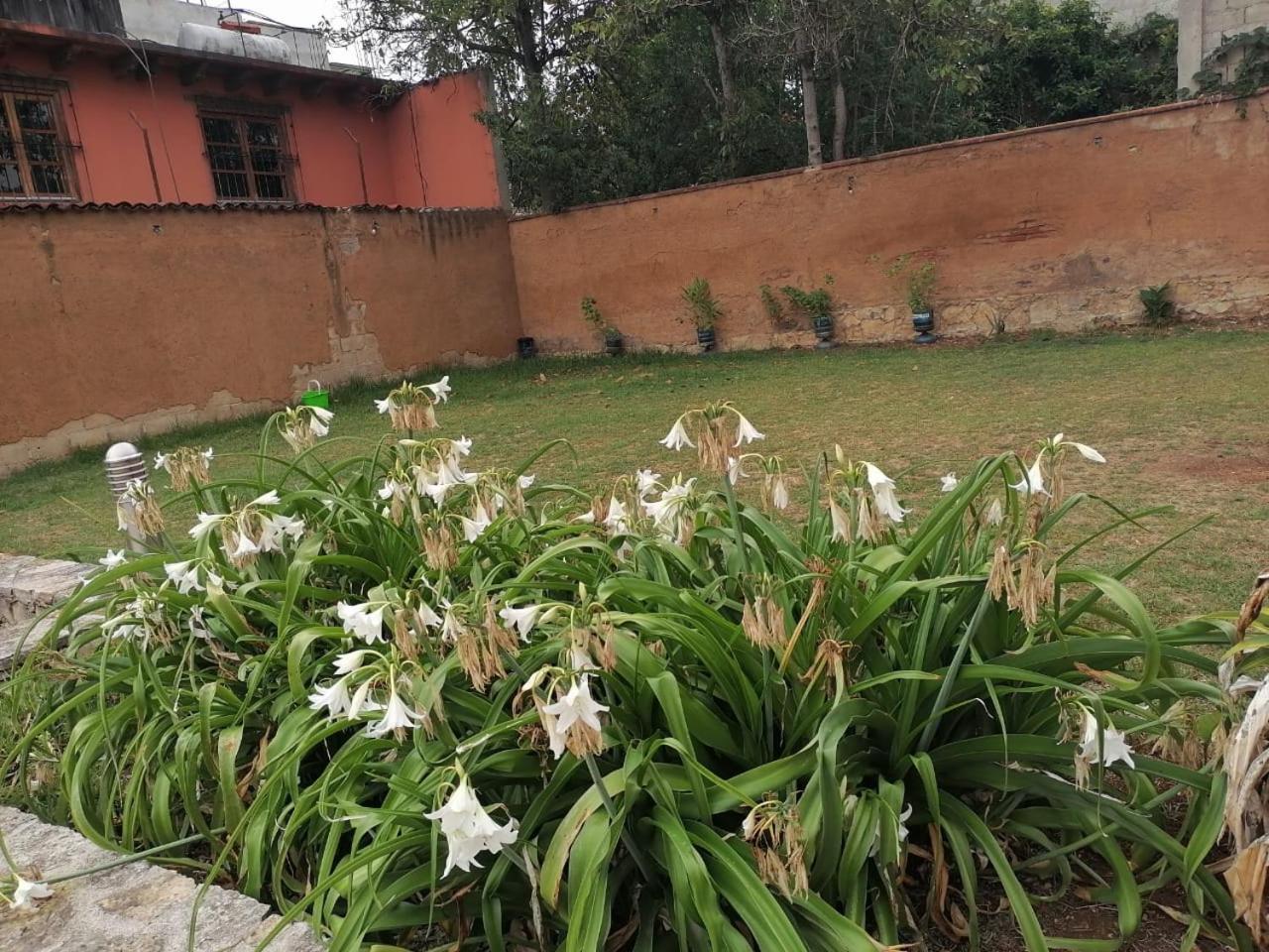 Hotel Tierra Maya San Cristóbal de Las Casas Εξωτερικό φωτογραφία